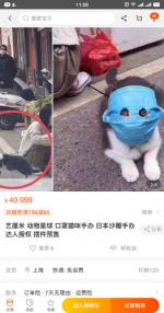 日本沙雕手办口罩猫咪